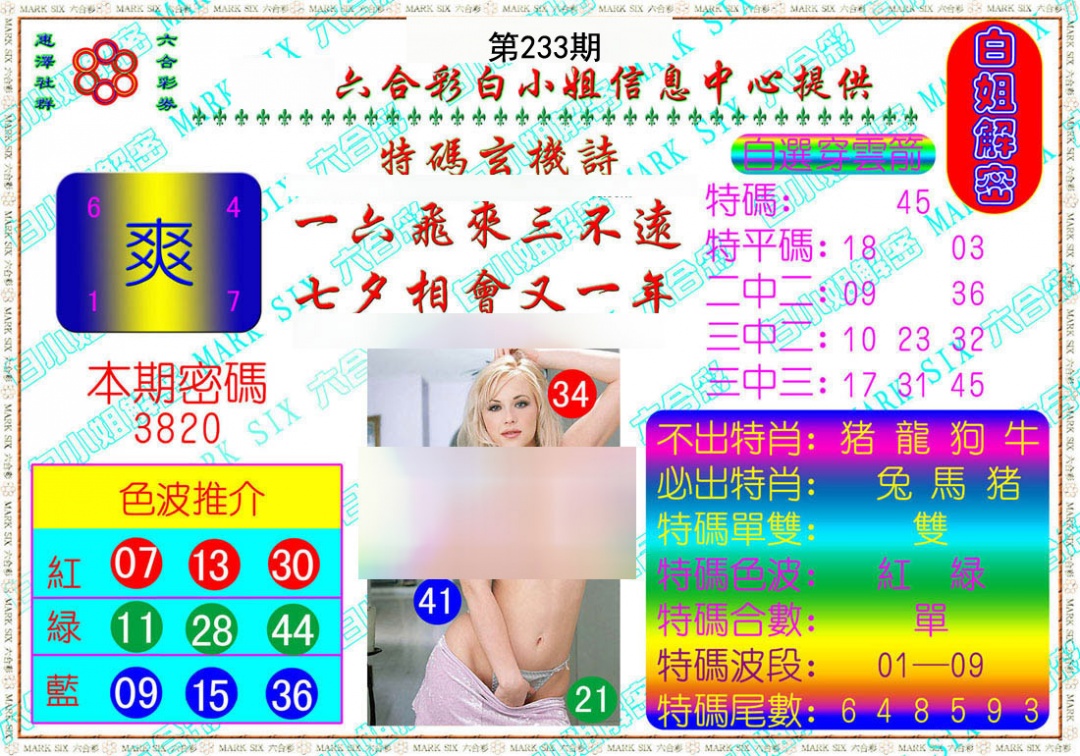 白小姐论坛